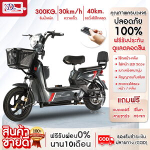 Electric Bicycle 1