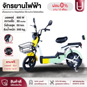 Electric Bicycle