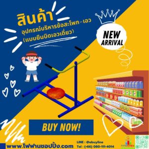 อุปกรณ์บริหารข้อสะโพก-เอว (แบบยืนบิดเอวเดี่ยว)