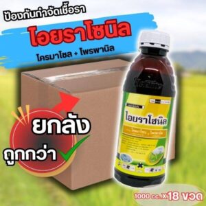 ไอยราโซนิล